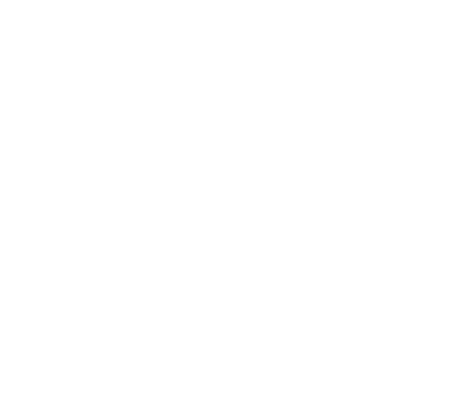 Icon d'organisation