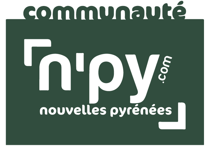Logo NPY Nouvelles Pyrénées