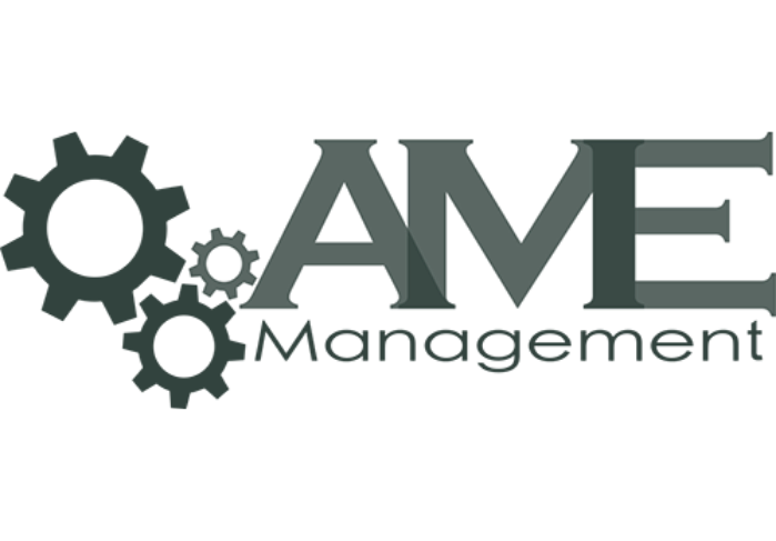 Logo NPY Nouvelles Pyrénées